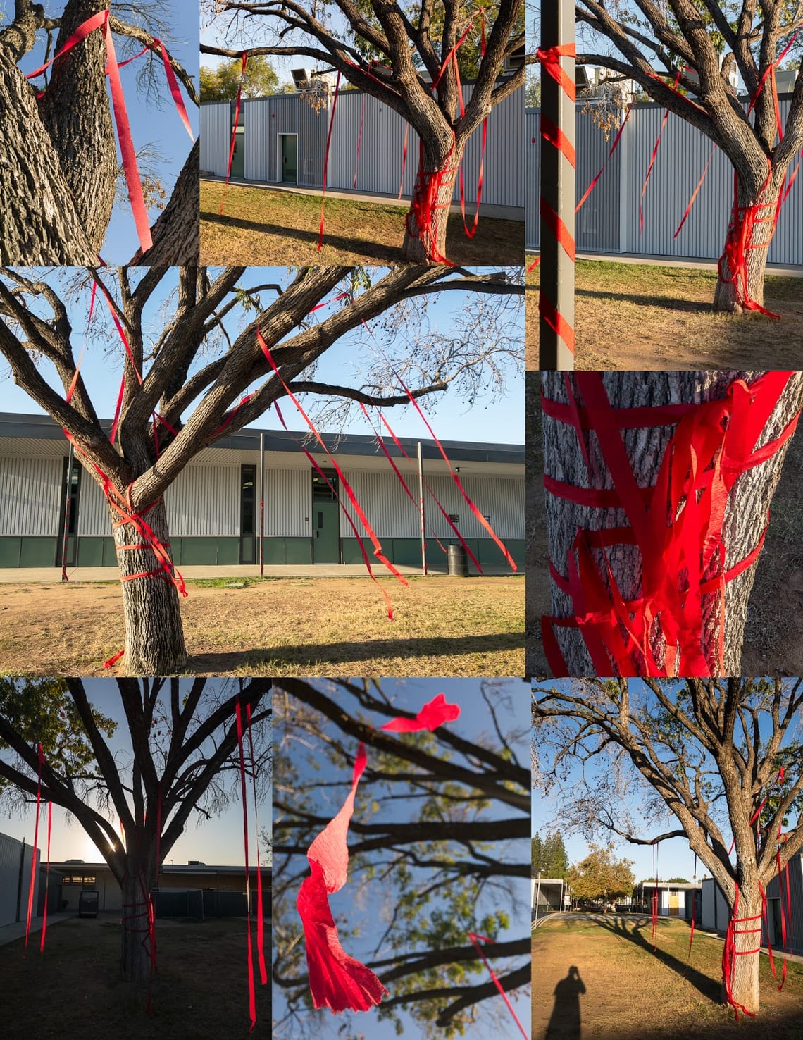 Exploring a Subject Throughly: A Photo Collage Experience