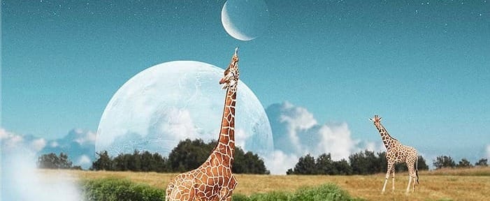 Get to know and understand the basics of Photoshop