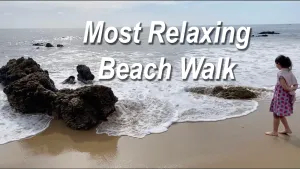 Ultimate Chill: Most Relaxing Beach Walk Experience